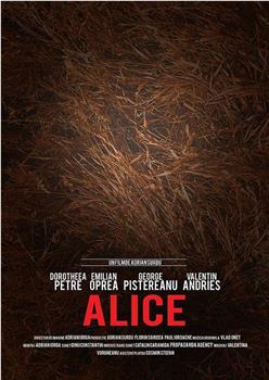Alice观看