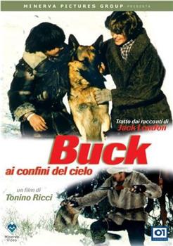 Buck ai confini del cielo观看