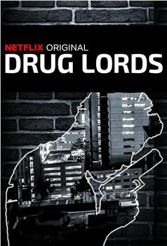 毒品大亨 第二季观看