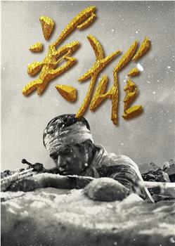 英雄观看