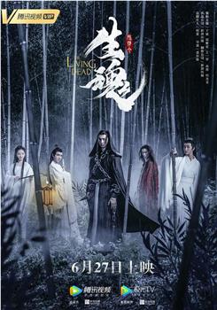 陈情令之生魂观看