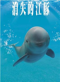 消失的江豚观看