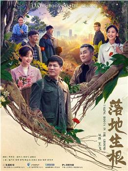 落地生根观看