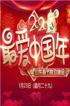 2020年山东卫视春节联欢晚会观看