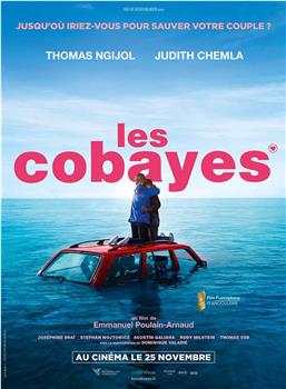 Les Cobayes观看