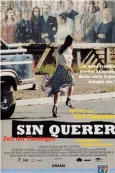 Sin querer观看