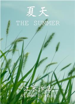 夏天观看