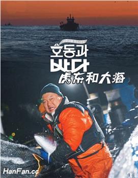 虎东和大海观看