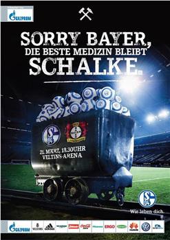 FC Schalke 04 vs Bayer 04 Leverkusen观看