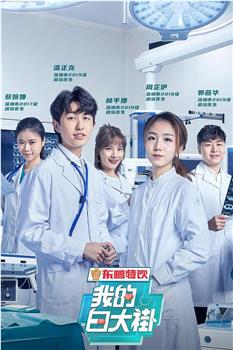 我的白大褂观看