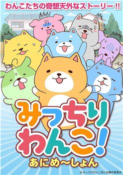 全力狗狗! Animation观看