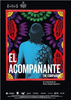 El acompañante观看