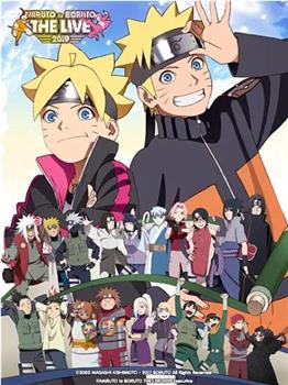 NARUTO to BORUTO THE LIVE 2019观看