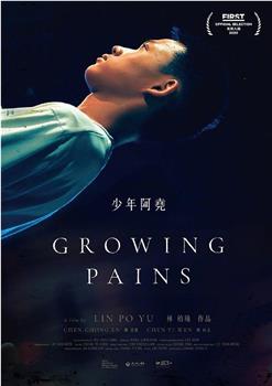 少年阿尧观看