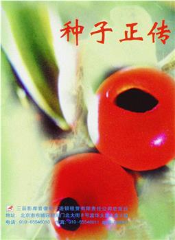 种子正传观看