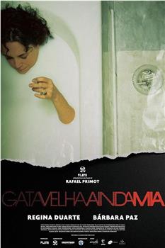 Gata Velha Ainda Mia观看