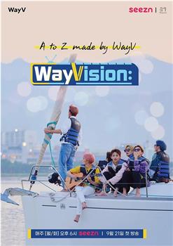 WayVision观看