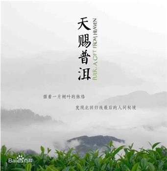 天赐普洱观看