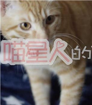 和喵星人的21天观看