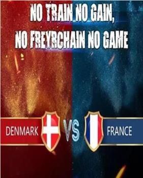 Denmark vs France观看