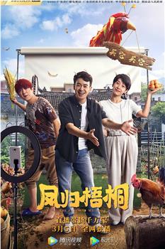 凤归梧桐观看