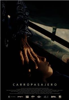 Carropasajero观看