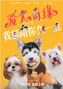 爱犬奇缘观看