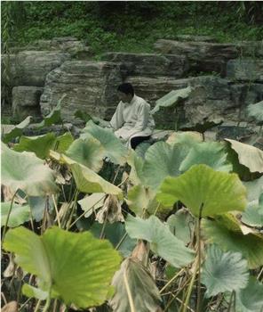 扭曲词场观看