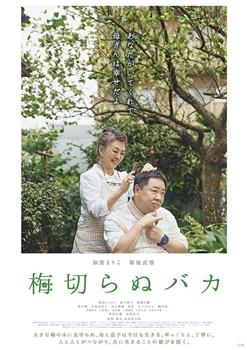 不砍梅树的傻瓜观看