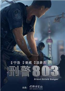 刑警803观看