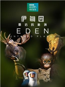 伊甸园：最后的秘境观看