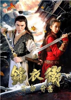 锦衣卫之夺命奇书观看