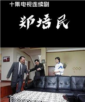 郑培民观看