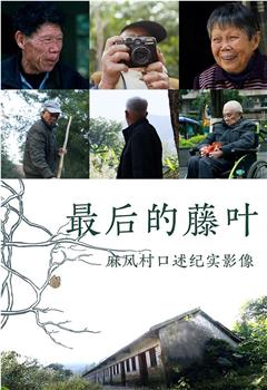 最后的藤叶观看