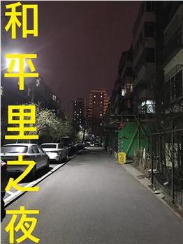和平里之夜观看