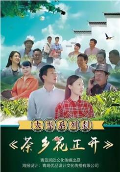 茶乡花正开观看