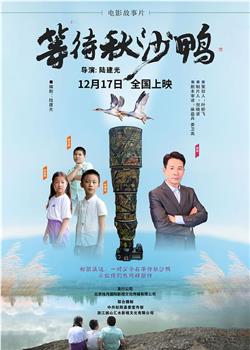 等待秋沙鸭观看