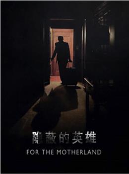 隐蔽的英雄观看