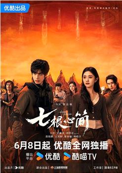 七根心简观看