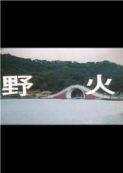 野火观看