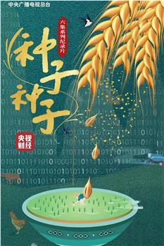 种子 种子观看