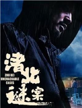 渚北谜案观看