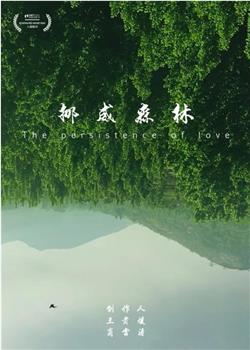 挪威森林观看