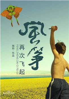 风筝再次飞起观看