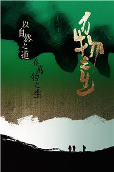 万物之生观看
