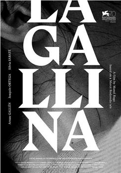 La gallina观看