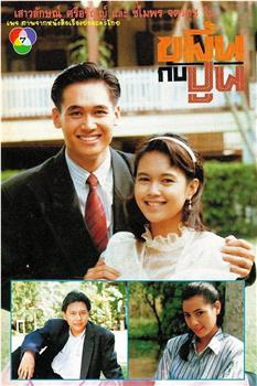 姜黄与石灰观看