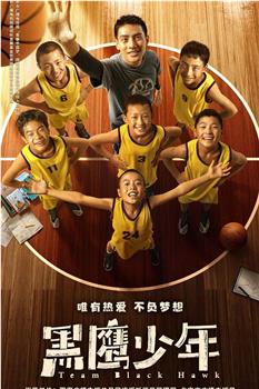 黑鹰少年观看