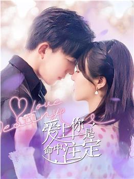 爱上你是命中注定观看