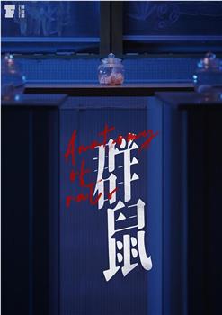 群鼠观看